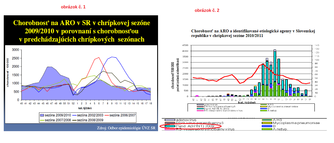 chripka-h1n1-2009.png
