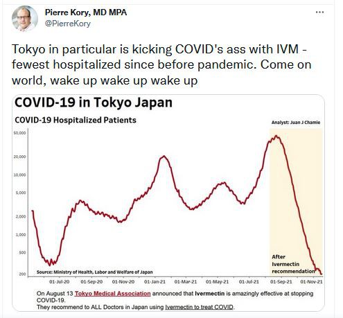 japonsko-tokio-ivermektin.jpg